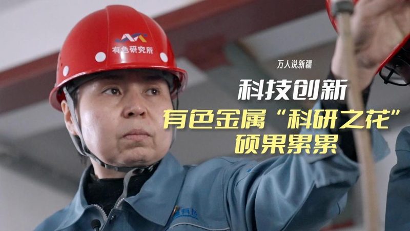 数据治理专员：企业数据管理的关键角色